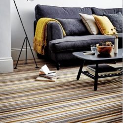 Roll-Carpet-(2)